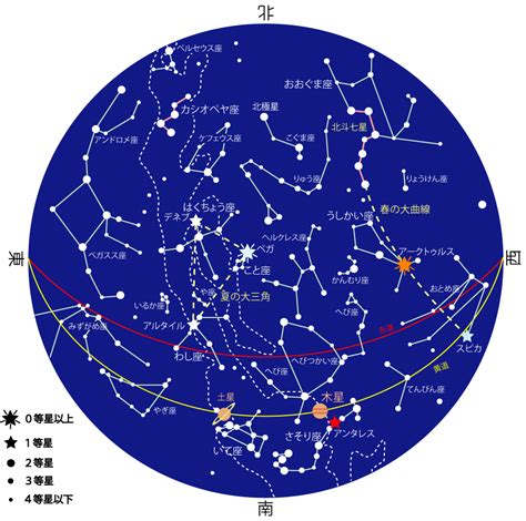 8月8 星座